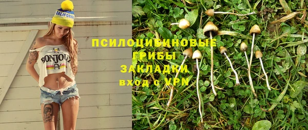 спиды Алексин
