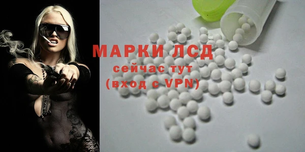 ПСИЛОЦИБИНОВЫЕ ГРИБЫ Инта