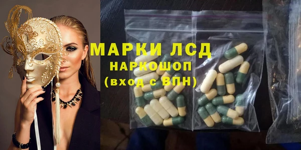 стаф Инсар