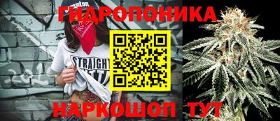 бошки Можга