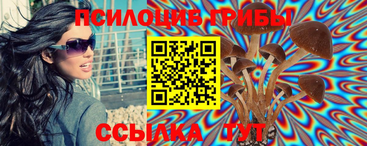 Псилоцибиновые грибы мухоморы  Псилоцибиновые грибы мухоморы  Подольск  Вход с VPN 
