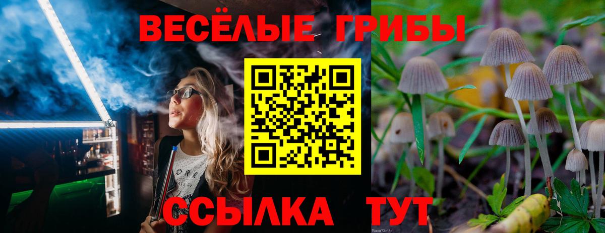 Подольск  купить наркотик  Вход с VPN  Псилоцибиновые грибы Psilocybe 