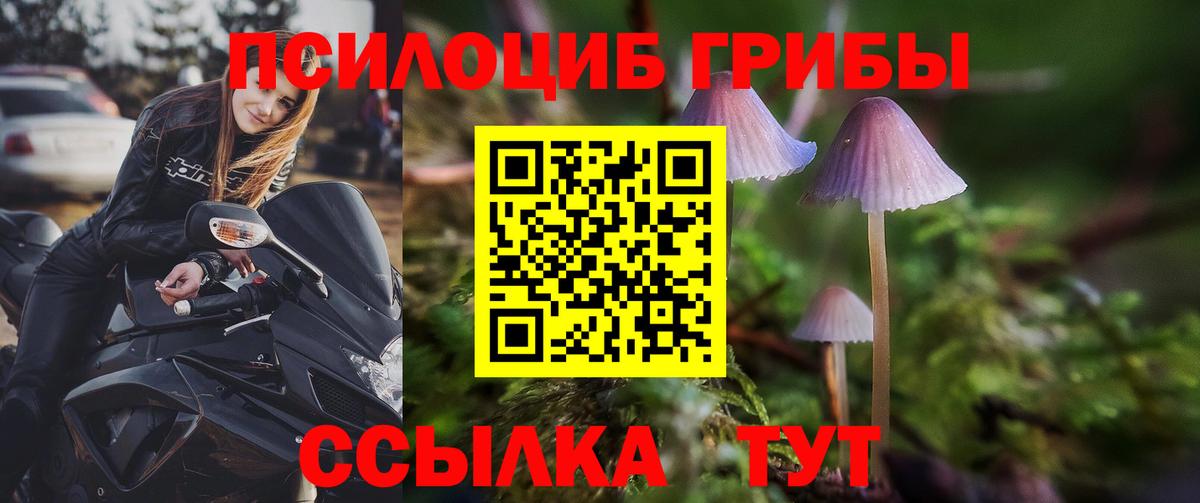 Псилоцибиновые грибы Psilocybine cubensis Подольск